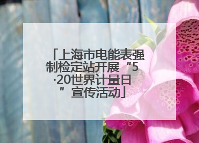 上海市电能表强制检定站开展“5·20世界计量日”宣传活动
