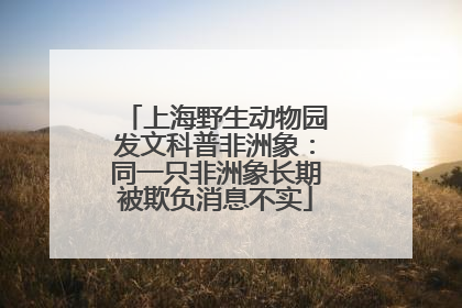 上海野生动物园发文科普非洲象：同一只非洲象长期被欺负消息不实