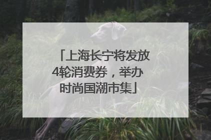 上海长宁将发放4轮消费券，举办时尚国潮市集