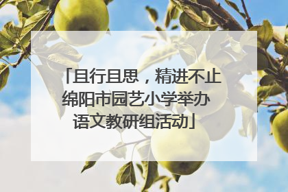 且行且思，精进不止 绵阳市园艺小学举办语文教研组活动