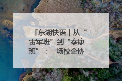 东湖快语｜从“雷军班”到“泰康班”：一场校企协同的“接力赛”