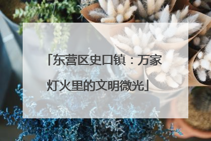 东营区史口镇：万家灯火里的文明微光