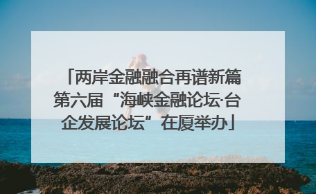 两岸金融融合再谱新篇 第六届“海峡金融论坛·台企发展论坛”在厦举办
