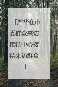 严华在市委群众来访接待中心接待来访群众