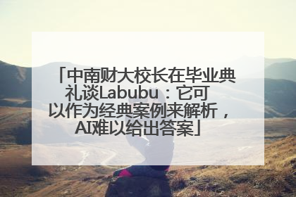 中南财大校长在毕业典礼谈Labubu：它可以作为经典案例来解析，AI难以给出答案