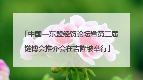 中国—东盟经贸论坛暨第三届链博会推介会在吉隆坡举行