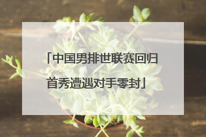 中国男排世联赛回归首秀遭遇对手零封