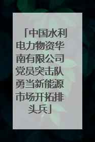 中国水利电力物资华南有限公司党员突击队勇当新能源市场开拓排头兵