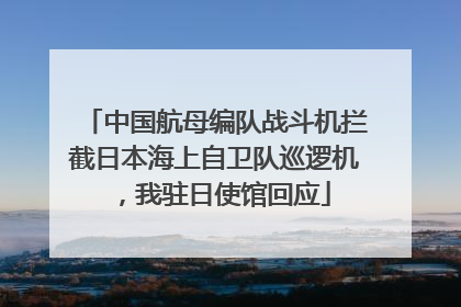中国航母编队战斗机拦截日本海上自卫队巡逻机，我驻日使馆回应