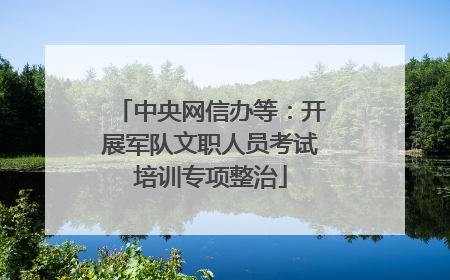 中央网信办等：开展军队文职人员考试培训专项整治