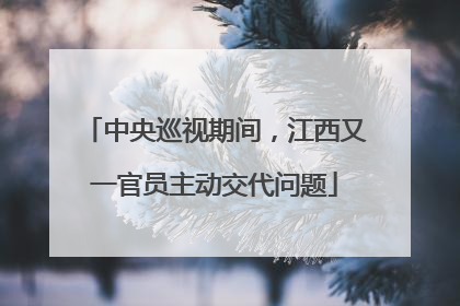 中央巡视期间，江西又一官员主动交代问题