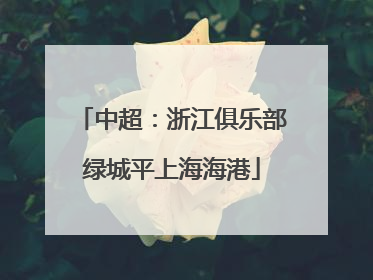 中超：浙江俱乐部绿城平上海海港