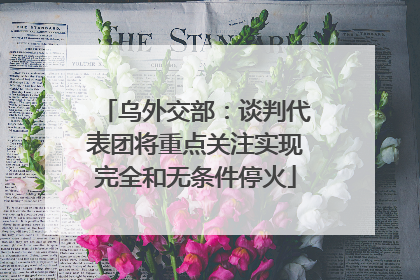 乌外交部：谈判代表团将重点关注实现完全和无条件停火