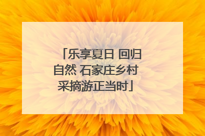 乐享夏日 回归自然 石家庄乡村采摘游正当时