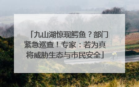 九山湖惊现鳄鱼？部门紧急巡查！专家：若为真将威胁生态与市民安全