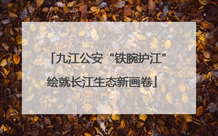 九江公安“铁腕护江”绘就长江生态新画卷