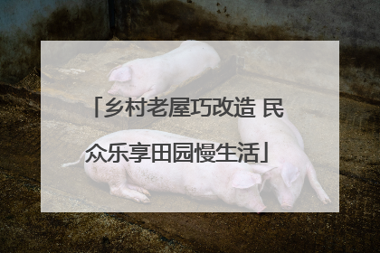 乡村老屋巧改造 民众乐享田园慢生活