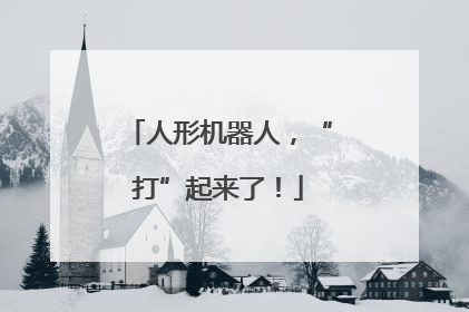 人形机器人，“打”起来了！