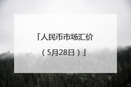 人民币市场汇价（5月28日）