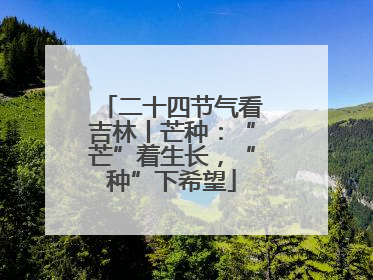 二十四节气看吉林丨芒种：“芒”着生长，“种”下希望