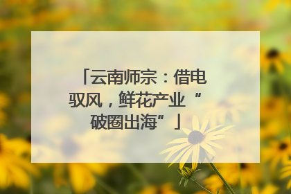 云南师宗：借电驭风，鲜花产业“破圈出海”
