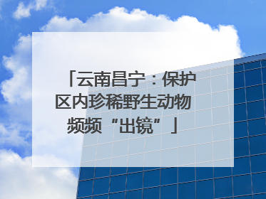 云南昌宁：保护区内珍稀野生动物频频“出镜”