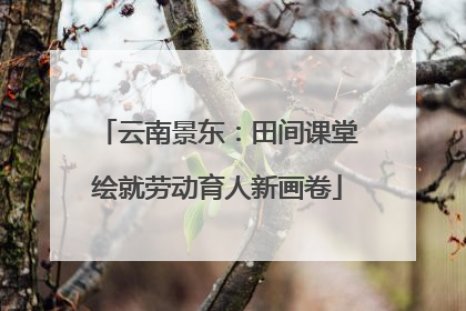 云南景东：田间课堂绘就劳动育人新画卷