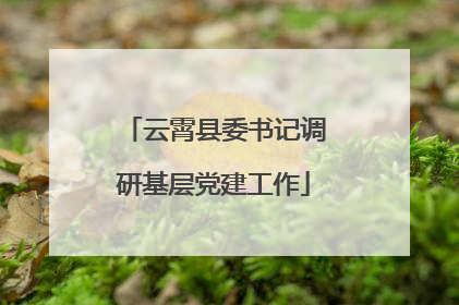 云霄县委书记调研基层党建工作