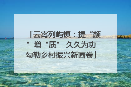 云霄列屿镇：提“颜”增“质” 久久为功勾勒乡村振兴新画卷