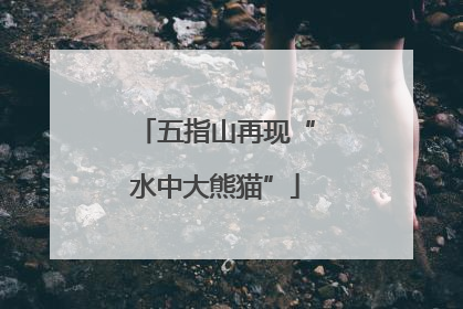 五指山再现“水中大熊猫”