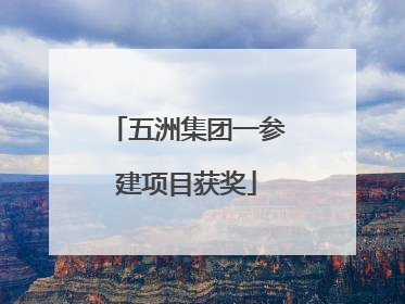 五洲集团一参建项目获奖