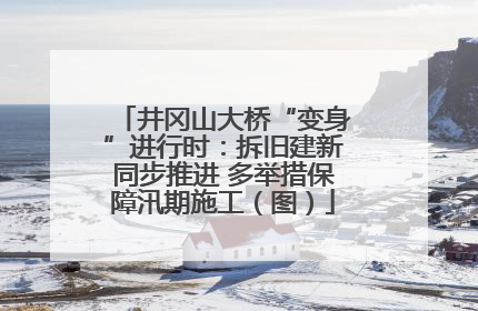 井冈山大桥“变身”进行时：拆旧建新同步推进 多举措保障汛期施工（图）