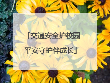 交通安全护校园 平安守护伴成长
