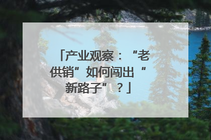 产业观察：“老供销”如何闯出“新路子”？