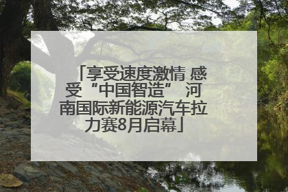 享受速度激情 感受“中国智造” 河南国际新能源汽车拉力赛8月启幕