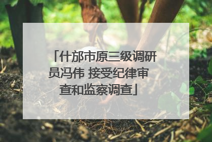 什邡市原三级调研员冯伟 接受纪律审查和监察调查
