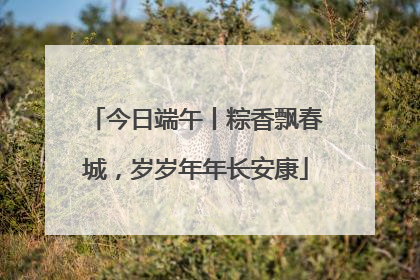 今日端午丨粽香飘春城，岁岁年年长安康