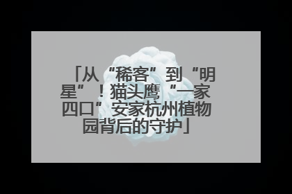 从“稀客”到“明星”！猫头鹰“一家四口”安家杭州植物园背后的守护