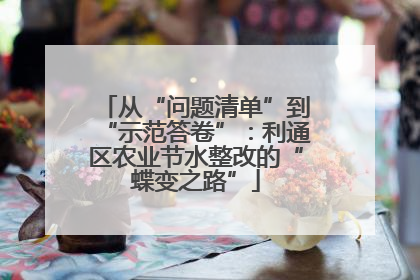 从“问题清单”到“示范答卷”：利通区农业节水整改的“蝶变之路”
