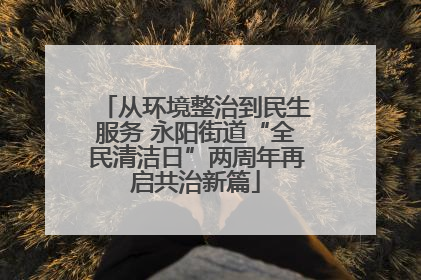 从环境整治到民生服务 永阳街道“全民清洁日”两周年再启共治新篇