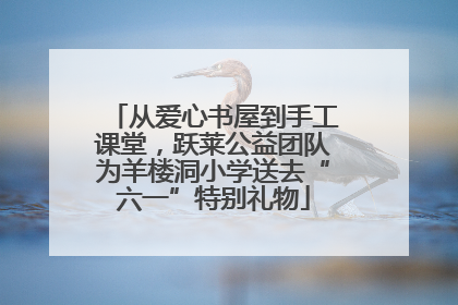 从爱心书屋到手工课堂，跃莱公益团队为羊楼洞小学送去“六一”特别礼物