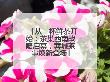 从一杯鲜茶开始：茶巢西南战略启幕，蓉城茶事焕新登场