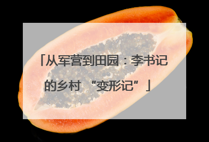 从军营到田园：李书记的乡村 “变形记”