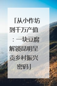 从小作坊到千万产值：一块豆腐解锁昆明呈贡乡村振兴密码