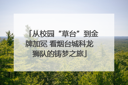 从校园“草台”到金牌加冕 看烟台城科龙狮队的铸梦之旅