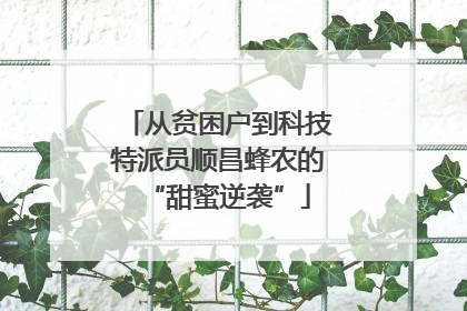 从贫困户到科技特派员顺昌蜂农的“甜蜜逆袭”