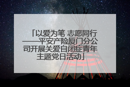 以爱为笔 志愿同行——平安产险厦门分公司开展关爱自闭症青年主题党日活动