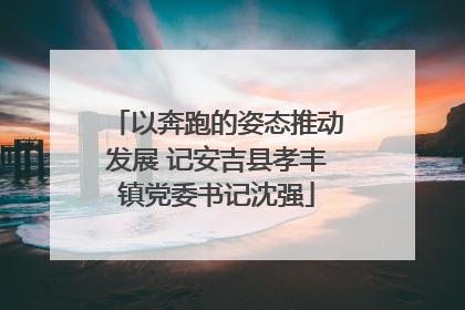 以奔跑的姿态推动发展 记安吉县孝丰镇党委书记沈强