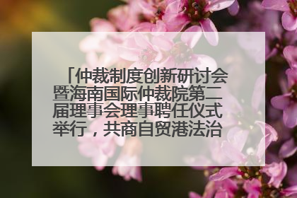 仲裁制度创新研讨会暨海南国际仲裁院第二届理事会理事聘任仪式举行，共商自贸港法治建设新路径