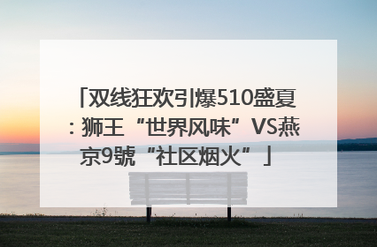 双线狂欢引爆510盛夏：狮王“世界风味”VS燕京9號“社区烟火”
